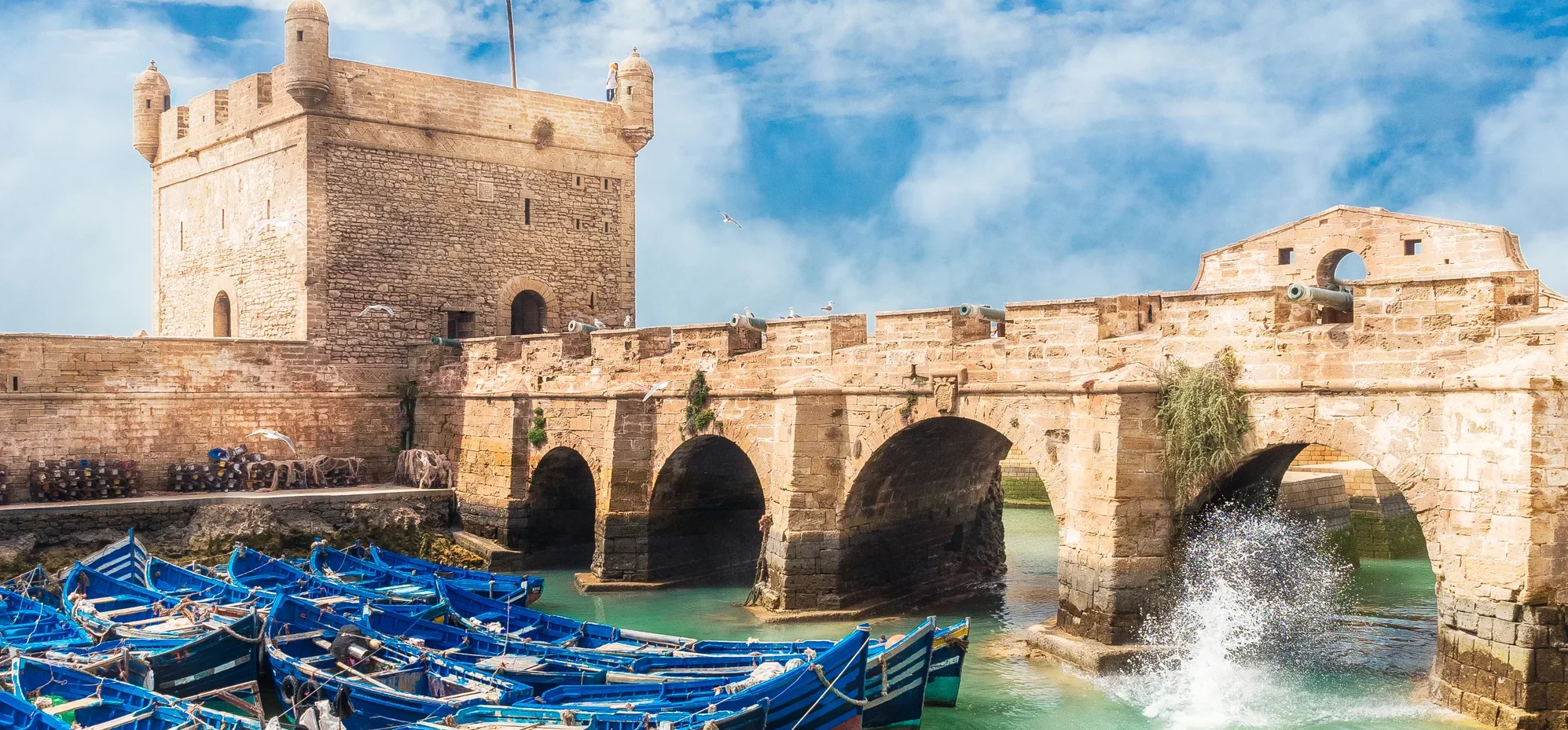 essaouira day trip from marrakech