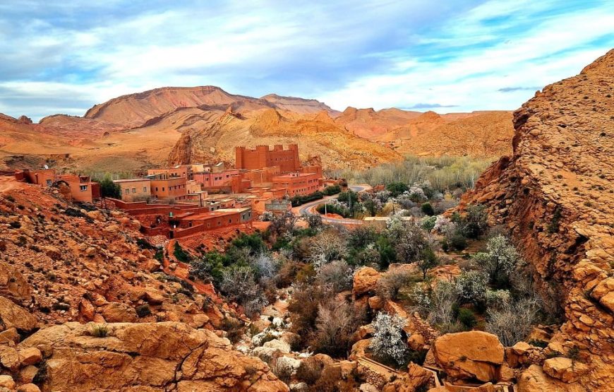 Private Southern Morocco Desert & Oases Tour