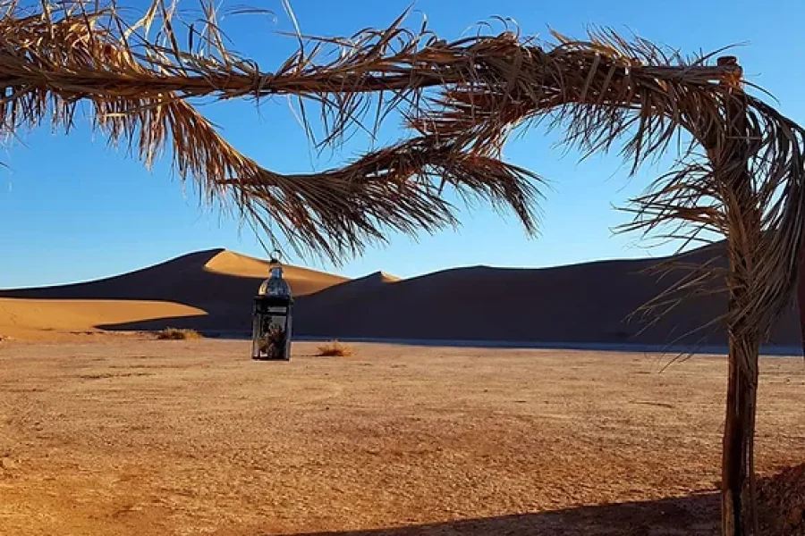 Les oasis du sud du Maroc