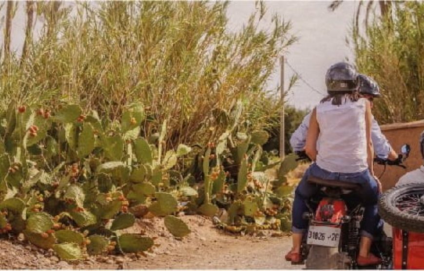 Sidecar Tours in Marrakech