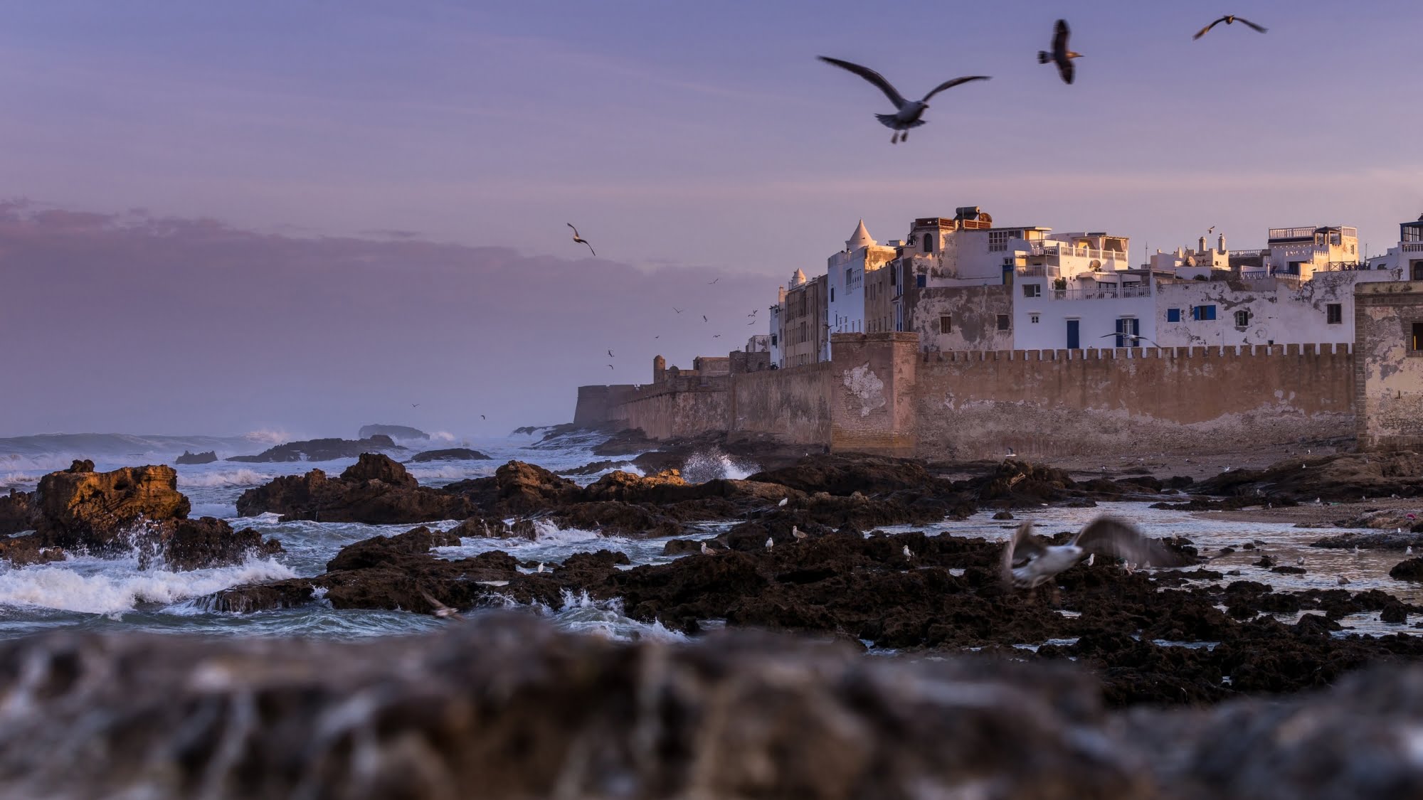 Exploring Essaouira: The Pearl of the Atlantic