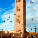 marrakesh1 0 &ndash; 18806