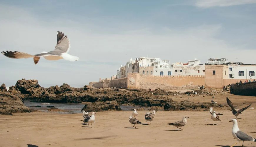 Essaouira: A Perfect One-Day Trip