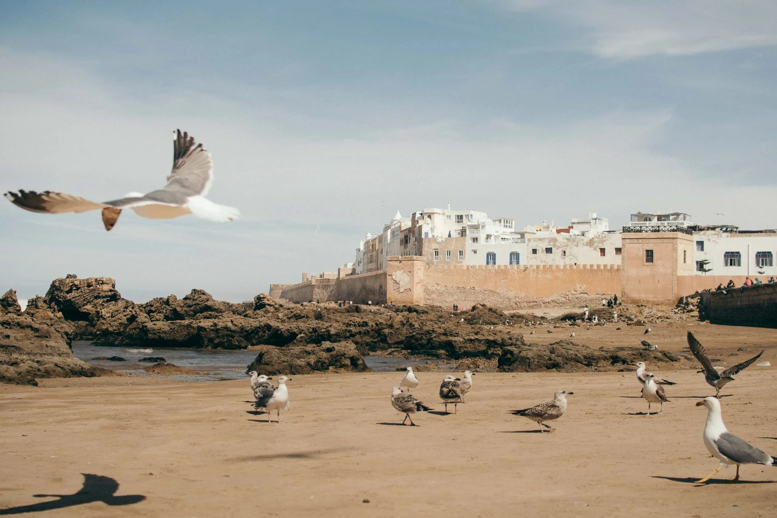 Essaouira: A Perfect One-Day Trip