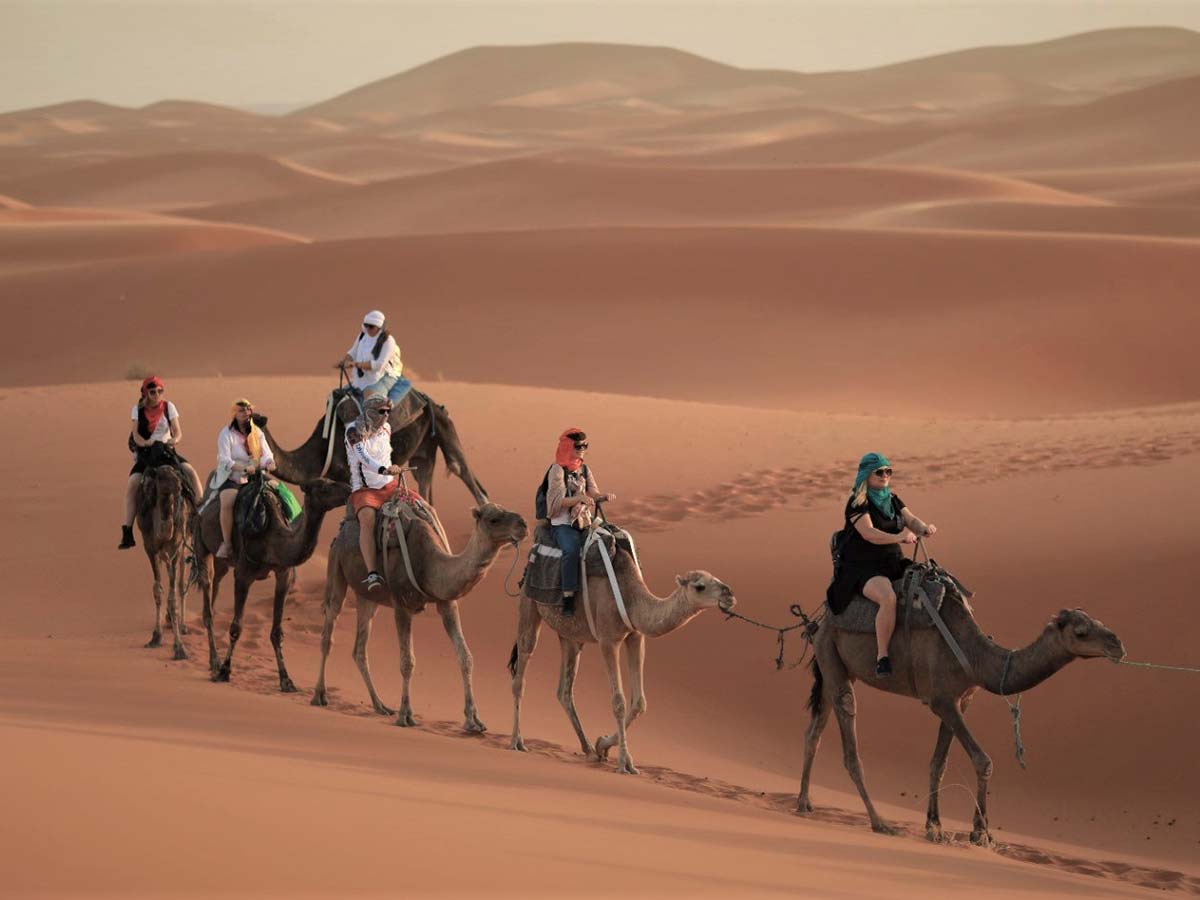 How to Choose the Perfect Vehicle for Your Moroccan Adventure