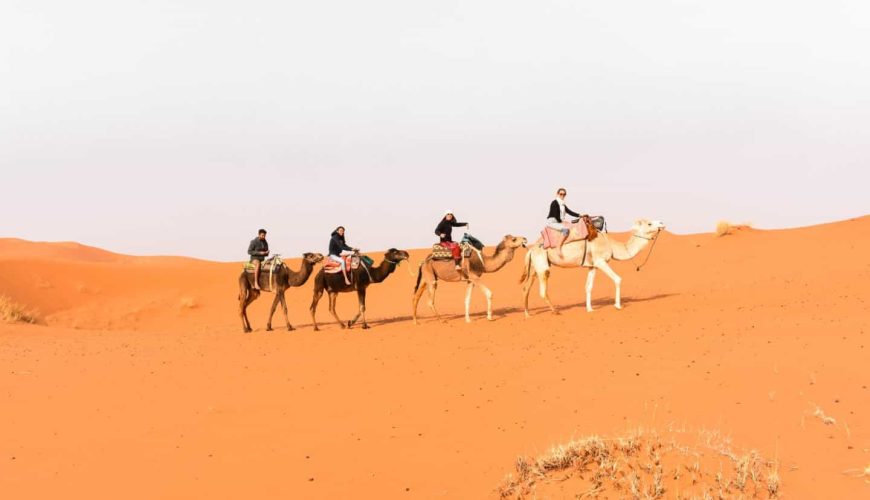 Preparing for a Sahara Desert Adventure: What You Need to Know