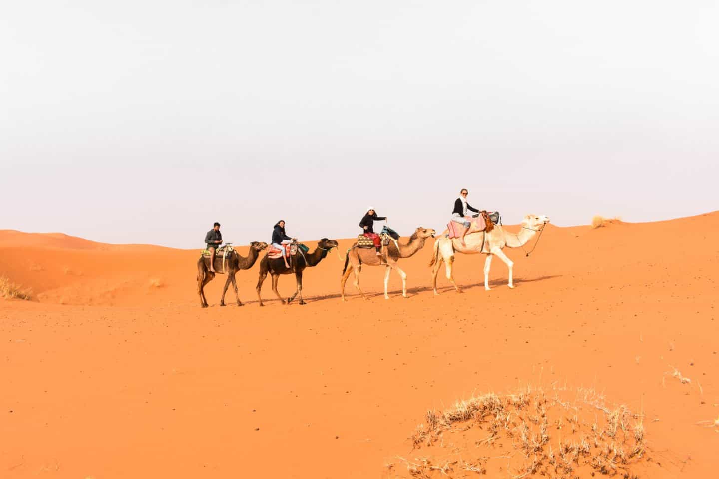 Preparing for a Sahara Desert Adventure: What You Need to Know