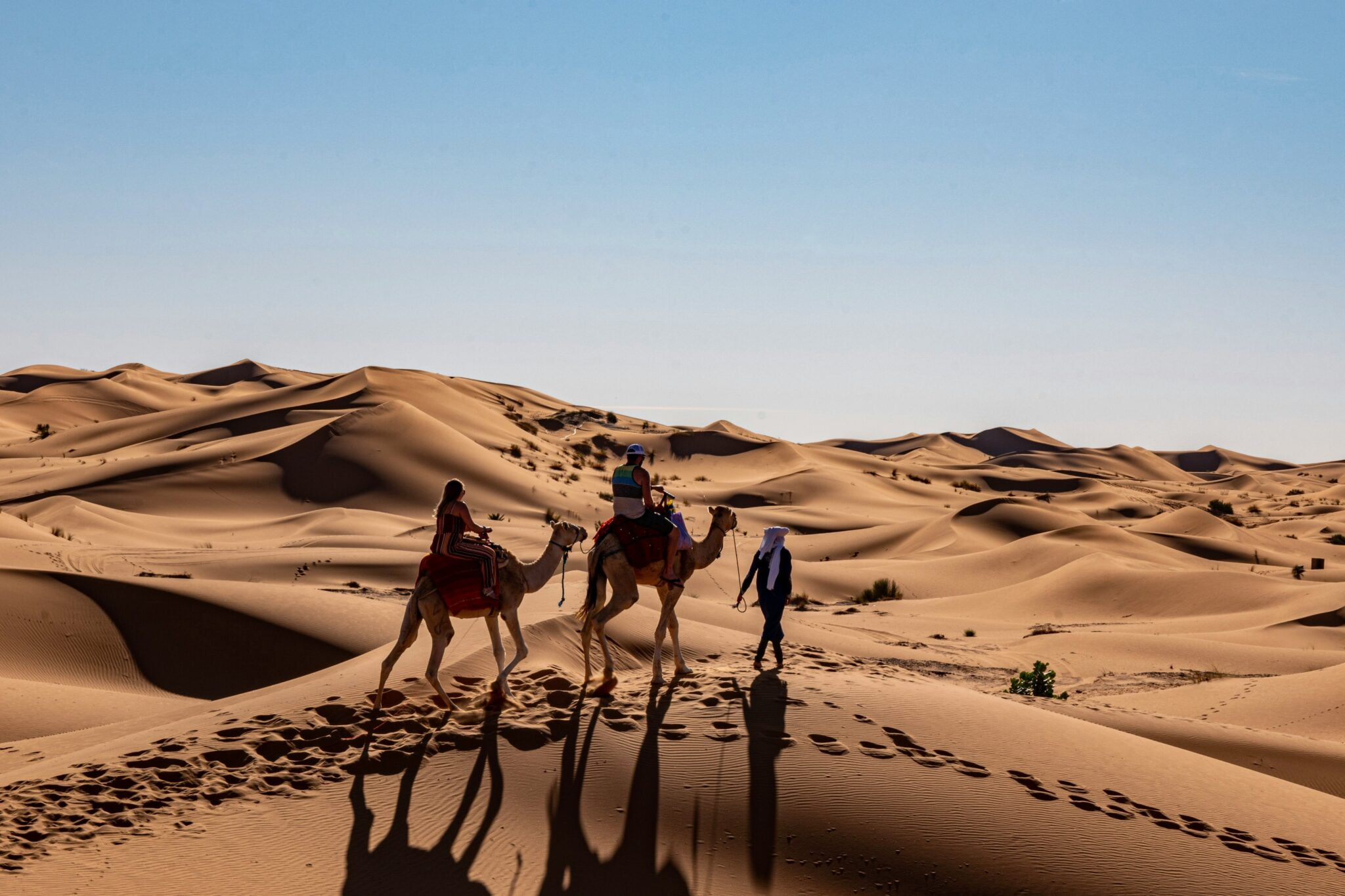 Sahara Desert Tours: What You Need to Know Before You Go